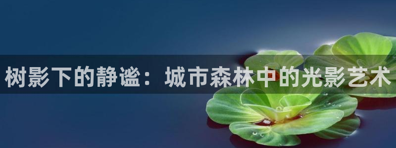 白宫摩根娱乐地址