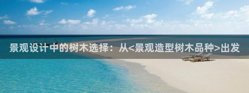 摩根娱乐宝下载