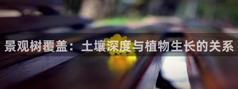 摩根娱乐宝 怎么样
