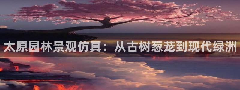 摩根娱乐宝机构代码