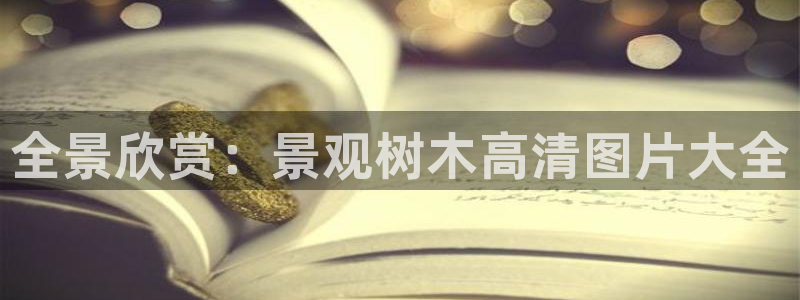 义乌摩根娱乐会所公主