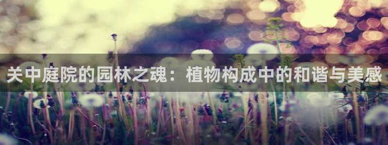 泉州白宫摩根娱乐会所：关中庭院的园林之魂：植物构成中的和谐与美感