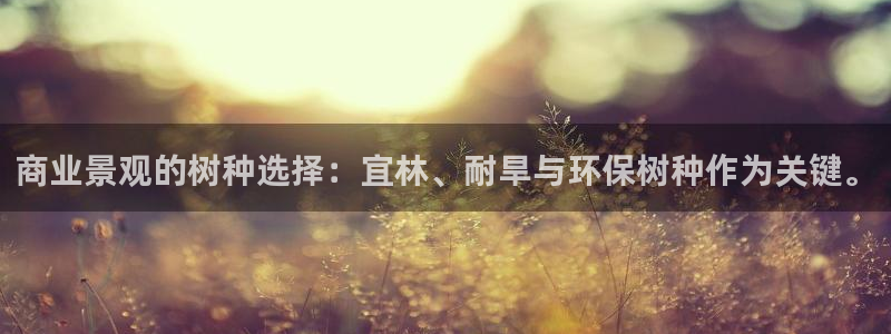 摩根大通旗下娱乐公司：商业景观的树种选择：宜林、耐旱与环保树种作为关键。
