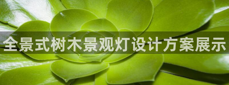 摩根娱乐注册平台：全景式树木景观灯设计方案展示