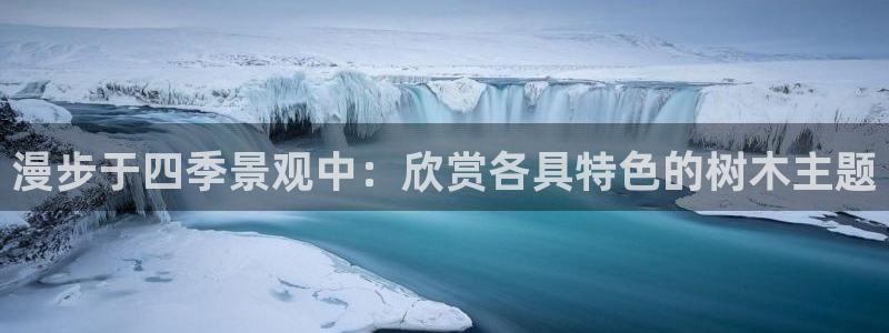 摩根娱乐宝怎么赚钱