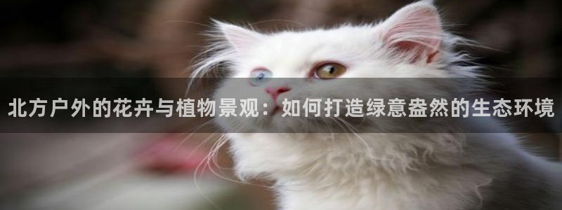 摩根 娱乐宝诈骗