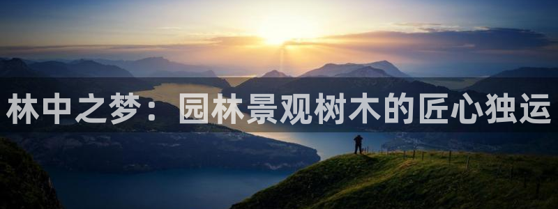 摩根娱乐宝如何提现：林中之梦：园林景观树木的匠心独运