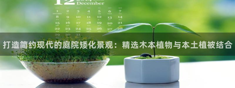 摩根2娱乐：打造简约现代的庭院矮化景观：精选木本植物与本土植被结合