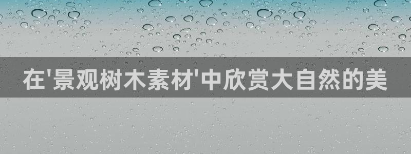 摩根娱乐宝平台下载