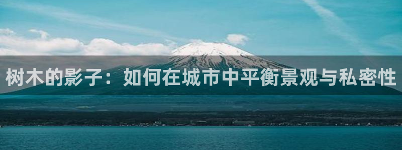 摩根娱乐宝平台