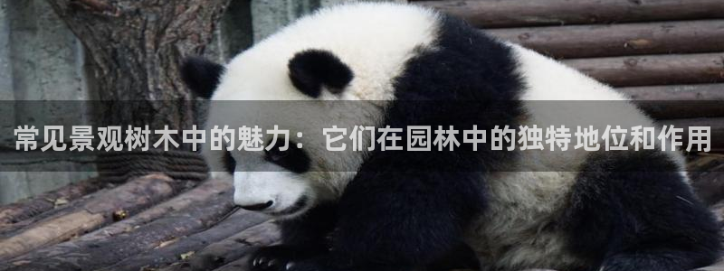 义乌市摩根娱乐会所