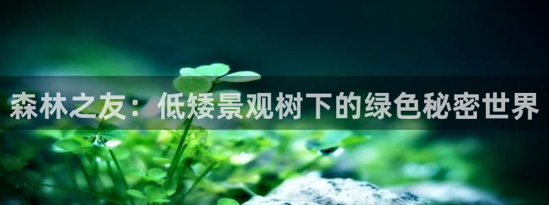 义乌摩根娱乐会所邮箱