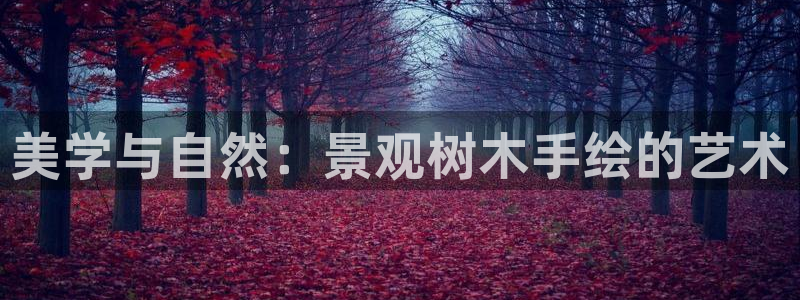 摩根娱乐宝 知道吗