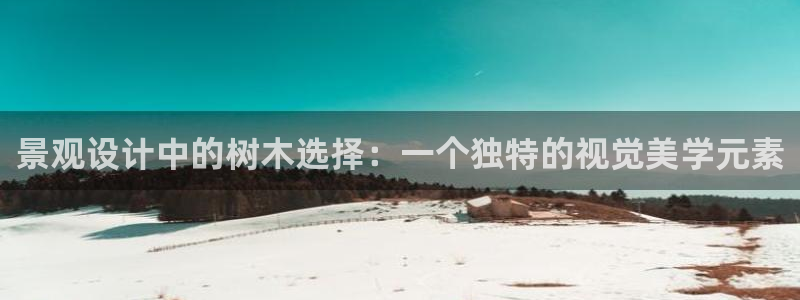 摩根娱乐挂机项目怎么样