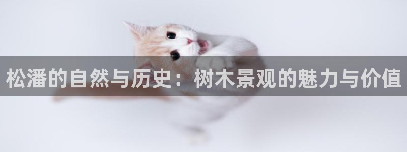 摩根娱乐50186叩