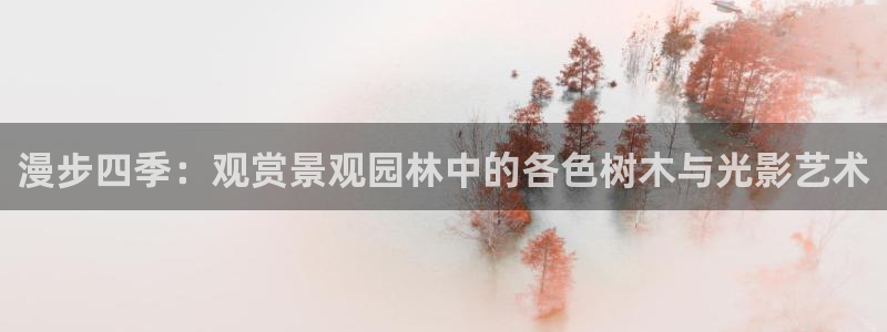 奥飞娱乐摩根调研