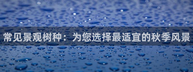 摩根娱乐¤股s东50015