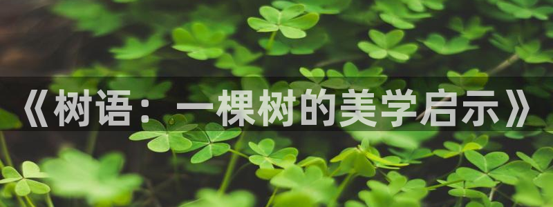 摩根娱乐50186叩