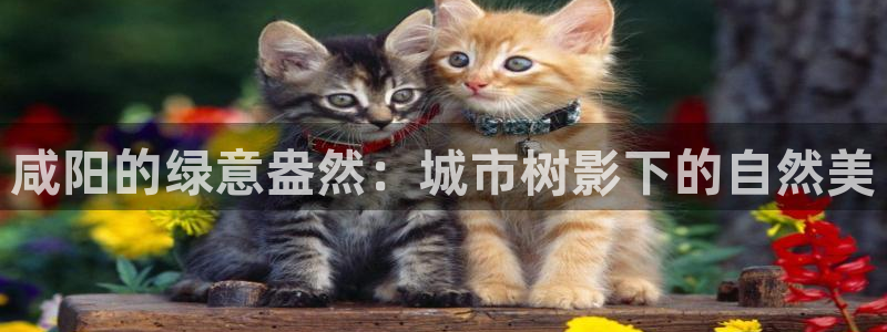 义乌摩根国际娱乐会所