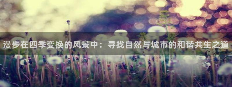 摩根娱乐宝可信吗