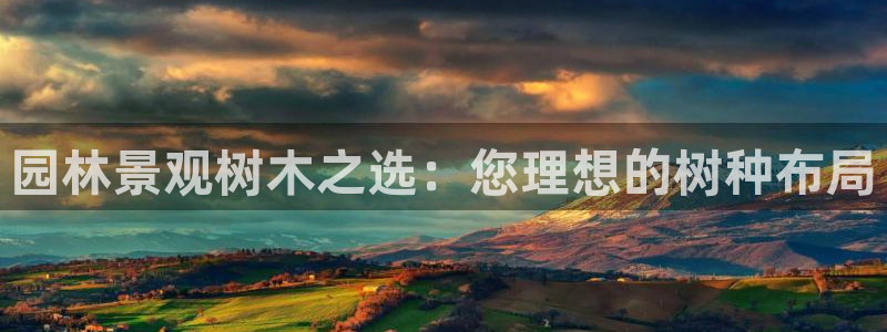 摩根娱乐宝秒单