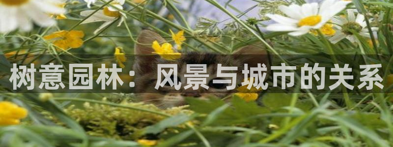 摩根娱乐宝骗了我