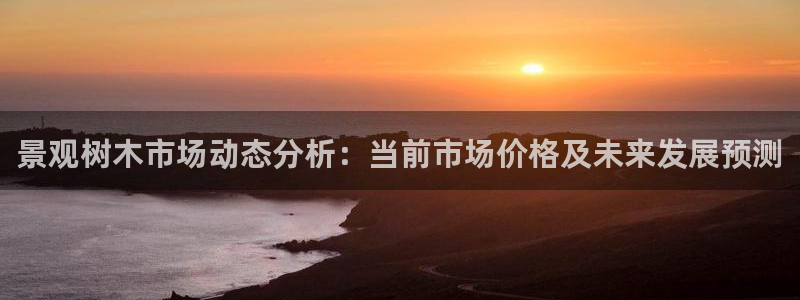 摩根娱乐宝总部