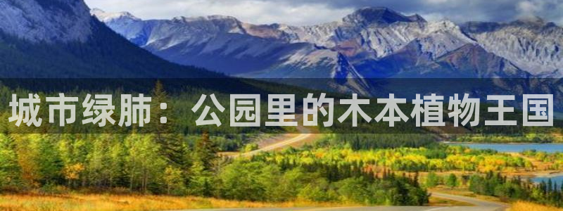 白宫摩根娱乐地址