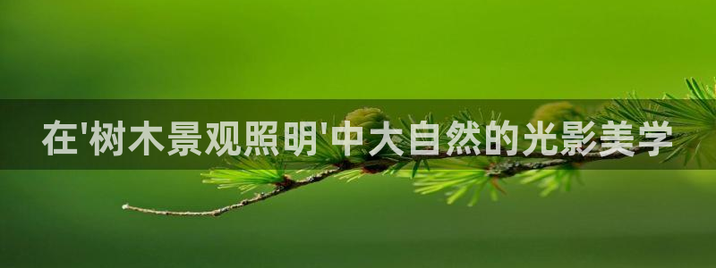 摩根娱乐身生个女孩吧