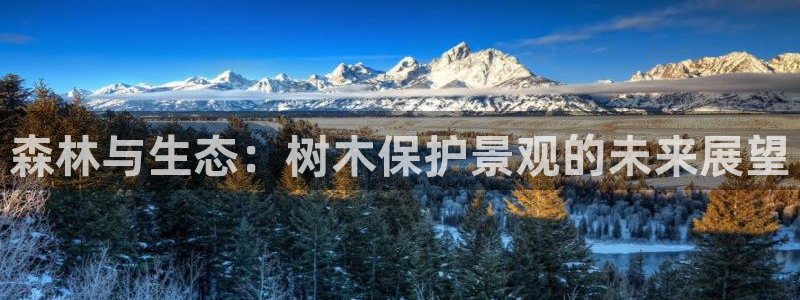 摩根太古互动娱乐中心