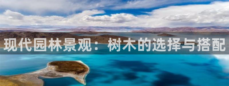 娱乐解说摩根王者荣耀