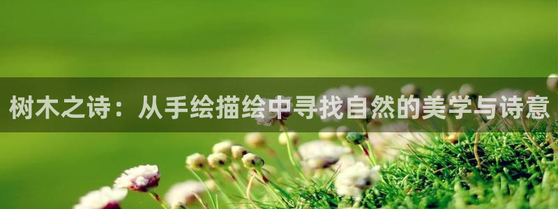 海贼王之娱乐摩根斯