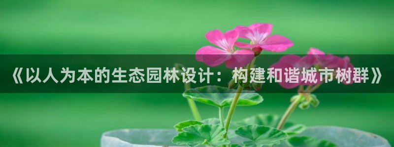 泉州摩根会娱乐有限责任公司管理