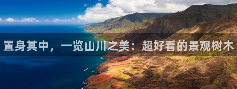 摩根娱乐宝真的假的