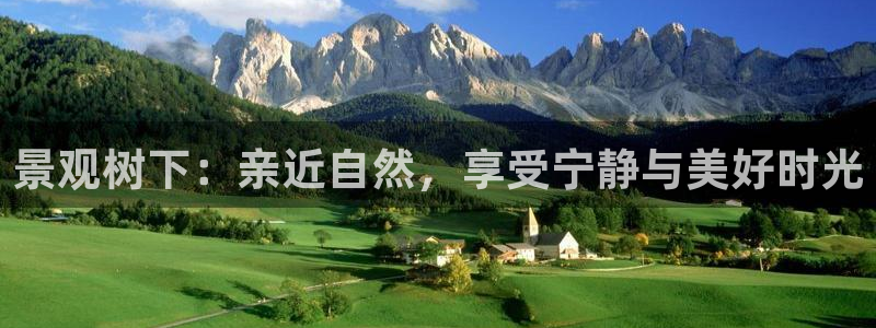 摩根娱乐宝平台下载