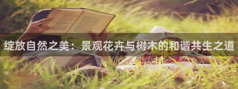 摩根娱乐平台云挂机安全吗