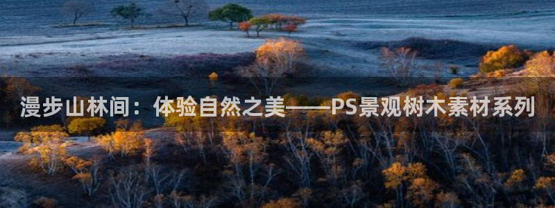 摩根国际娱乐宝书籍