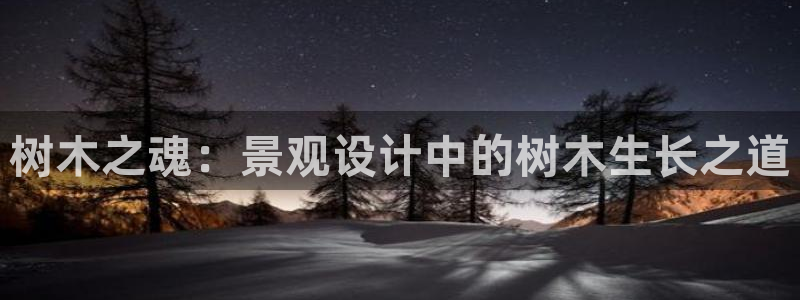 白宫摩根娱乐场所