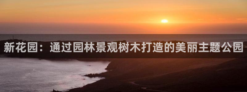 摩根娱乐包是什么