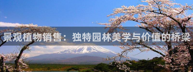 摩根大通王者娱乐