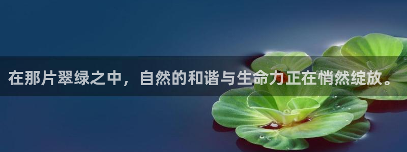 摩根国际娱乐宝官网下载