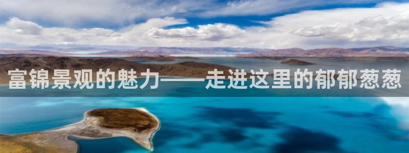 摩根娱乐视频大全