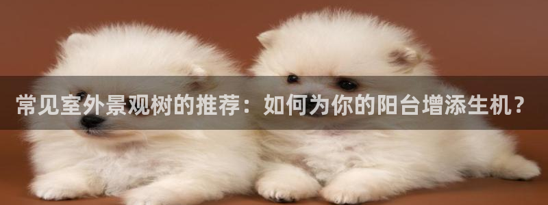 摩根娱乐宝怎么样