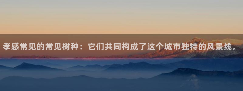 义务摩根娱乐会所