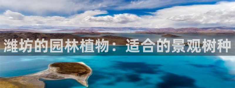 摩根娱乐是什么意思