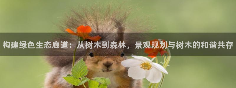 摩根娱乐云挂机项目怎么下载