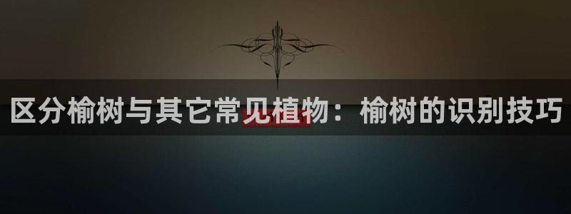 义乌摩根国际娱乐会所