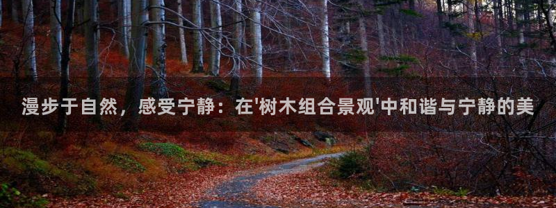 摩根娱乐宝。知道吗