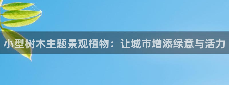 摩根娱乐宝登陆网址
