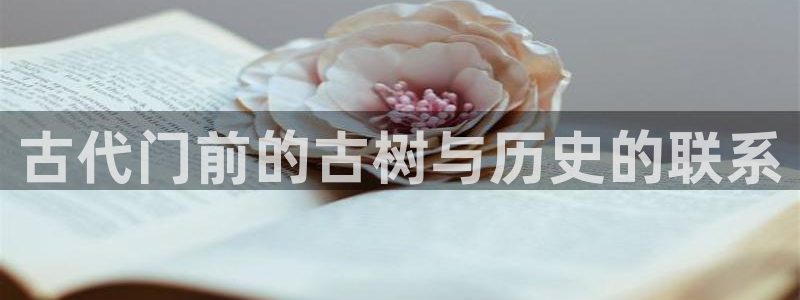 摩根国际娱乐会所